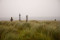 Inis Oírr – The Little Sister of the Aran Islands