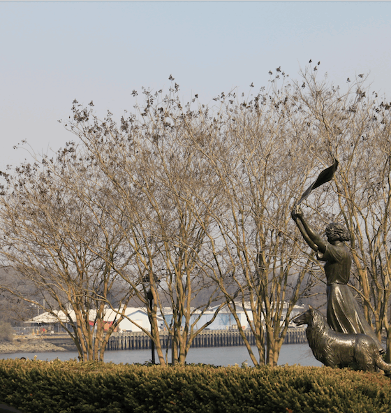 Florence Martus, The Waving Girl of Savannah GA
