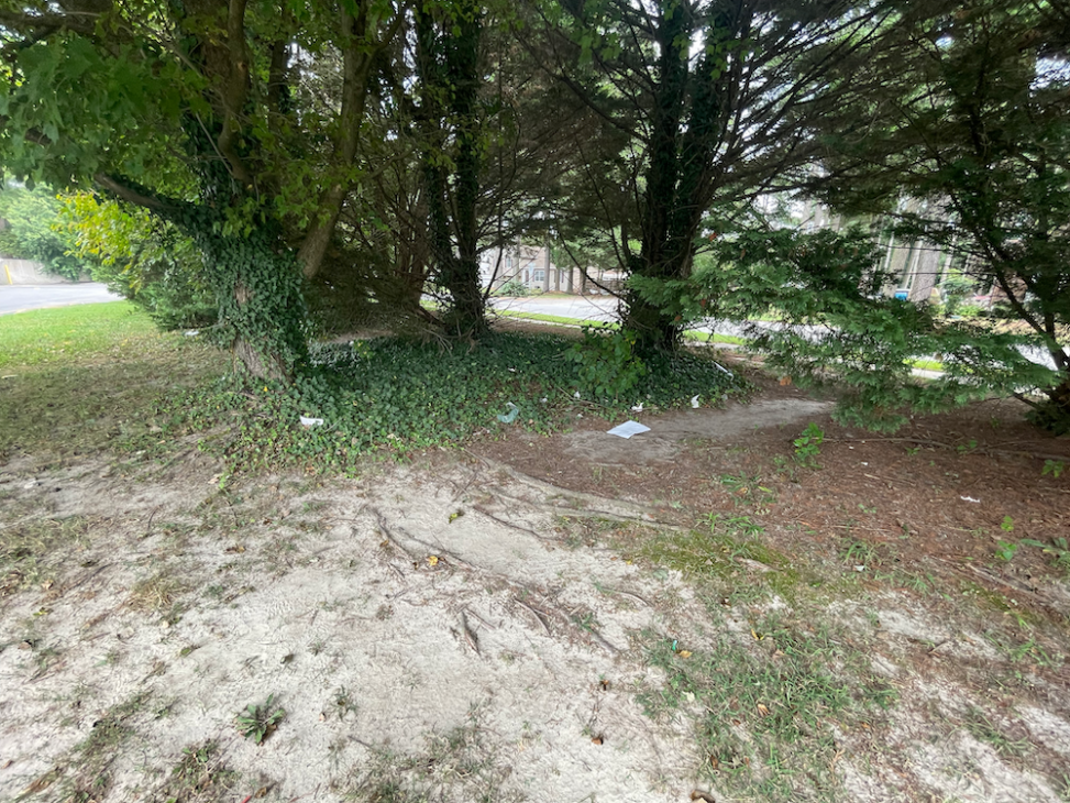 Taken 2023 - Path access to Food Lion from Regency Drive. 